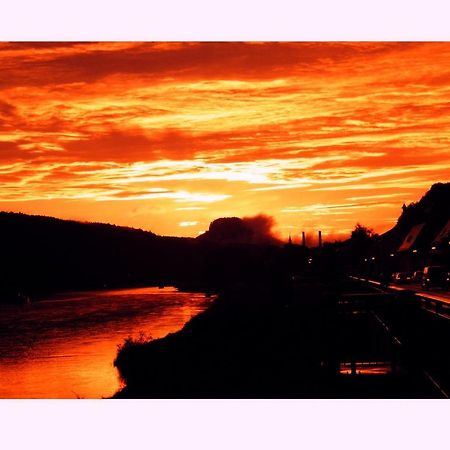 Pension Schwarz Bad Schandau Esterno foto