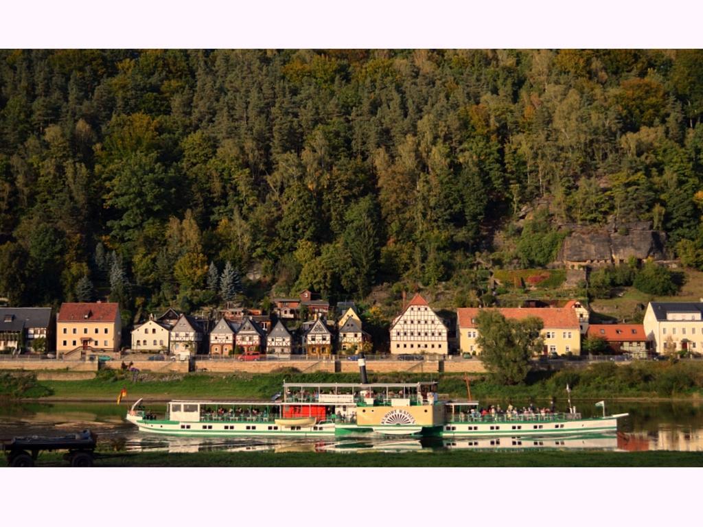 Pension Schwarz Bad Schandau Esterno foto